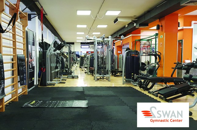 gym swan workout florence palestra