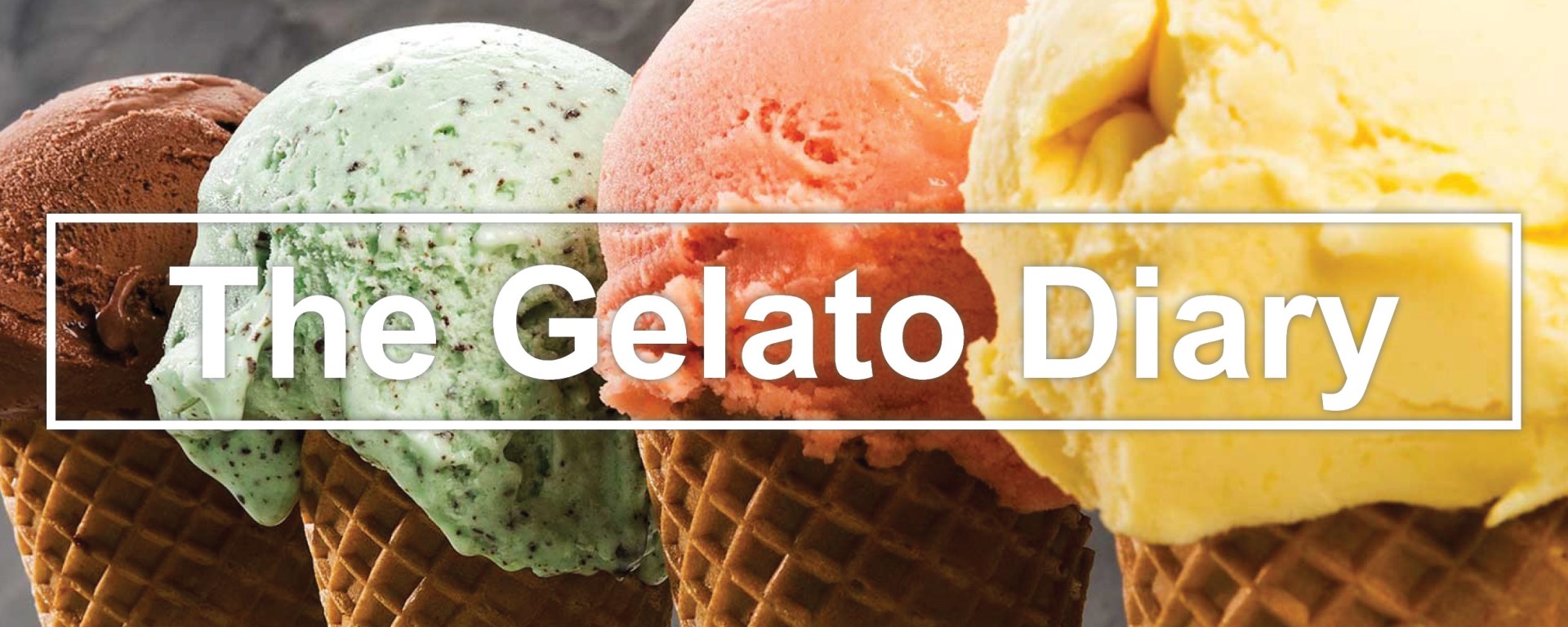 Best Gelato Florence Firenze Campus Student Discount