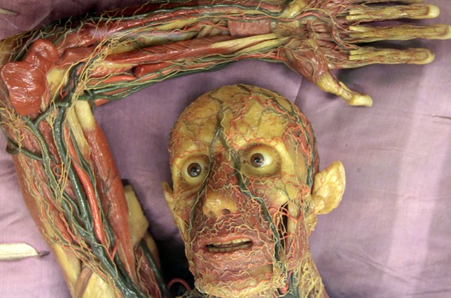 La Specola Museum of Natural HIstory Florence