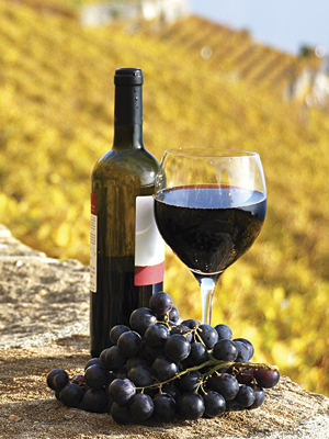 Val D'Orcia Montalcino Pienza Montepulciano Wine Tasting Cheese Tour